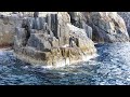 あらゆる大物が潜む「男女群島」の磯でかぶせ釣りしてみたら…