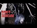 If the Harmonica Plays, I Lose — My Heart Rate Spiked (Harmonica)|DON'T SCREAM #3