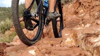 Whatever this thing is on Hunter Loop trail at Devils Backbone