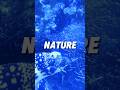 生きるために #nature #aquarium #生きる