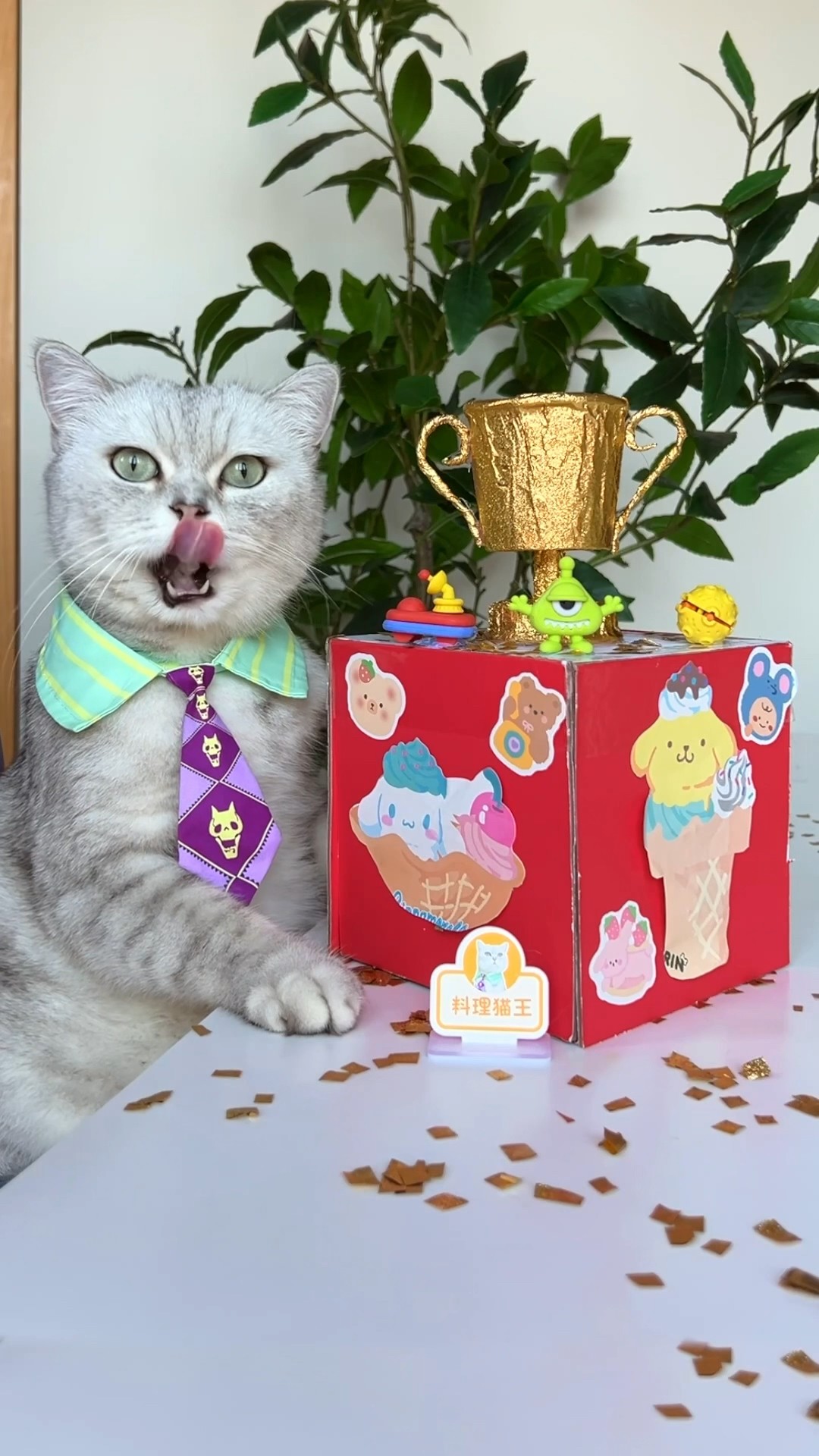 Join Me To DIY A Fun Bouncy Surprise Box!?? #catsofyoutube #catvideos #tiktok