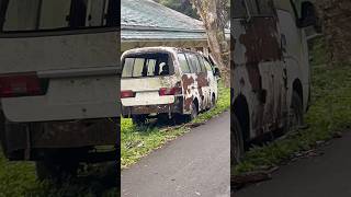 TAMU MUSIM HUJAN PUTIH MELOMPAT DAN BERWAJAH HITAM😱😱😈