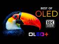 BEST OF OLED - Hidden Ethereal Earthscapes in 8K HDR | Dolby Vision™