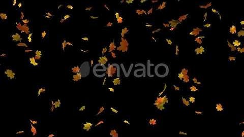Falling Maple Leaves | Motion Graphics - Envato elements