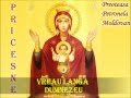 Vreau langa Dumnezeu - Priceasna.wmv