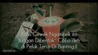 Story WA Cewek Nyebelin, Pengen deh...
