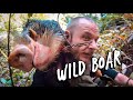 Kaimai Wild Boar Hunt with dogs in New Zealand (HUNTING VLOG 2)