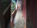 I Am Faster I Am Faster