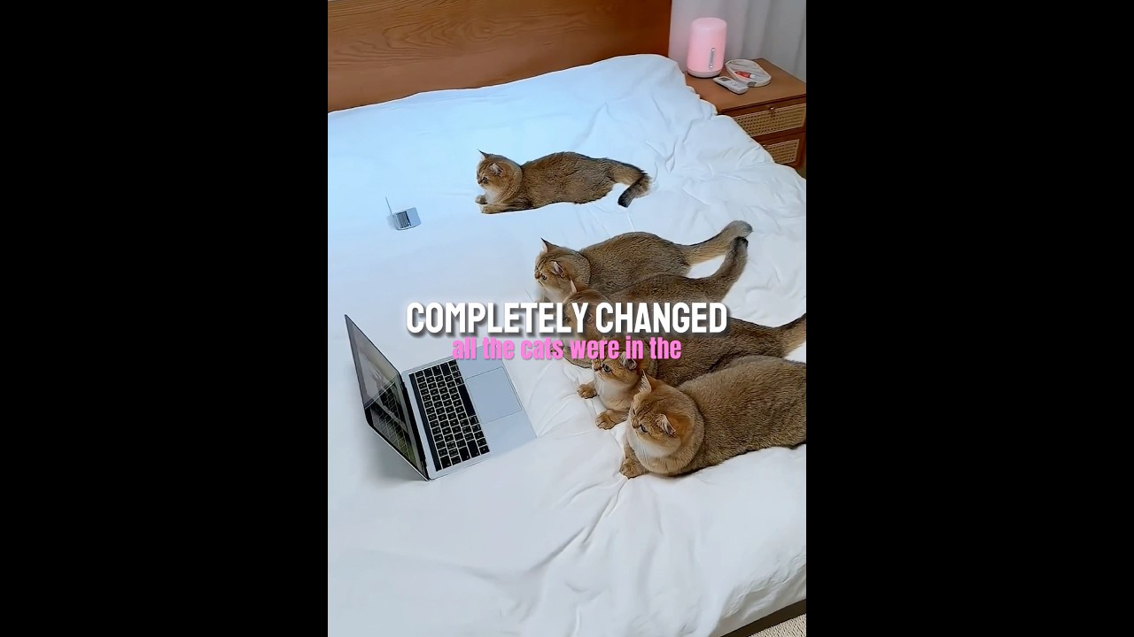 Лень в самом разгаре