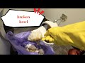 Drain Unblocking 070 管道疏通 part 2 -- pulled out the broken bowl finally