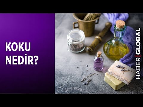 Video: Koku Nedir