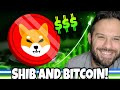 Shiba Inu Coin | February Could Be A Huge Month For SHIB And Bitcoin!