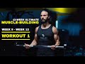 12-Week Ultimate Muscle-Building Program | Week 9 - Week 12 | Workout 1