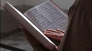 Reading Quran |Non Copyright Islam Background Video | No Copyright Videos