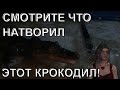 Завели дома Крокодила! Фантастическое видео, чудовище в доме / Главный канал  / 2020 год будет лучше