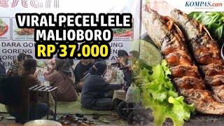 Viral Wisatawan Keluhkan Mahalnya Harga Pecel Lele di Malioboro