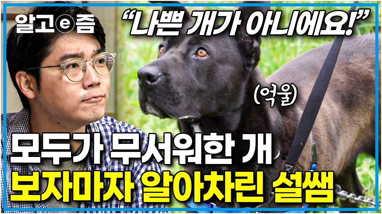 “저희는 절대 저렇게 멀쩡한 아이를 안락사시키지 않아요” 마을 어르신들을 공포에 떨게 한 개의 진짜 속마음 │세상에 나쁜 개는 없다│알고e즘