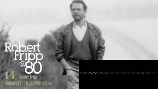 Robert Fripp - Readings From Thomas Hardy (RF@80, Vol. 14)