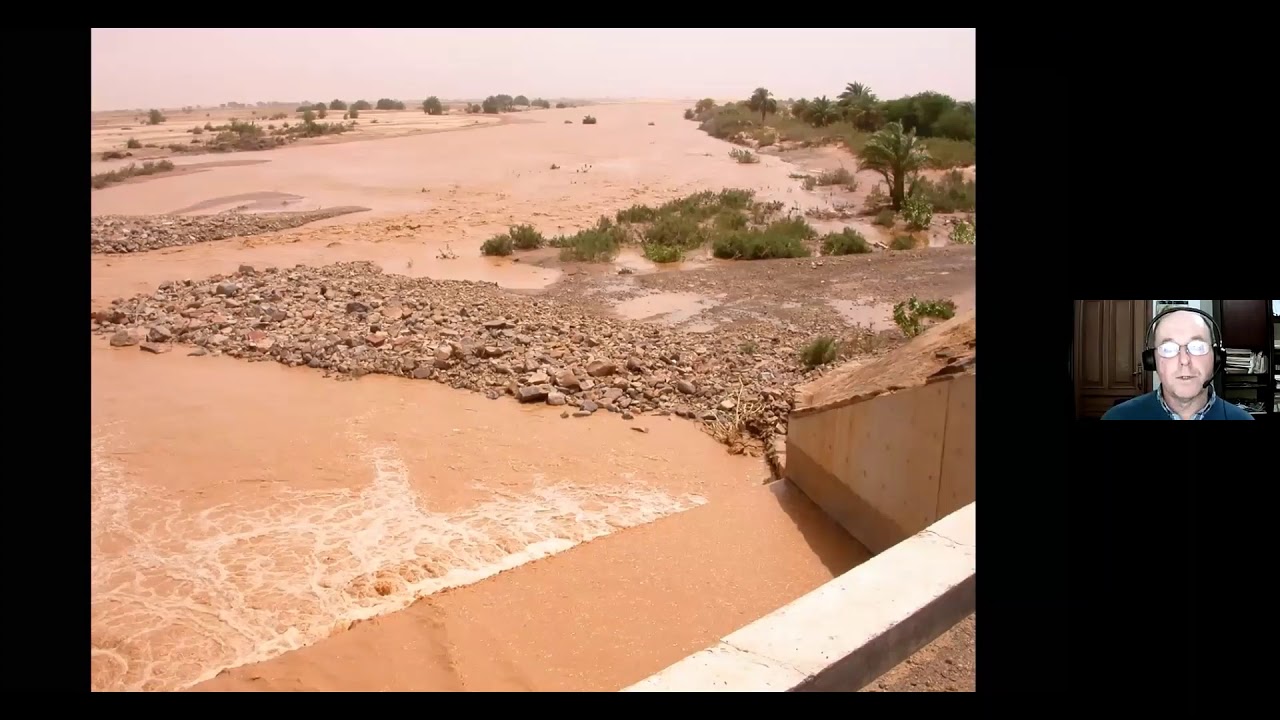 Bird migration in the Sahara - BDI Citizen Scientist Hour #16 -  Marc Herremans