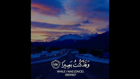 وَمَنْ أَعْرَضَ عَن ذِكْرِي فَإِنَّ لَهُ مَعِيشَةً ضَنكًا| سورة طه الاية ١٢٤