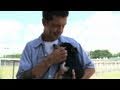 Prison Inmates Caring for Shelter Pets