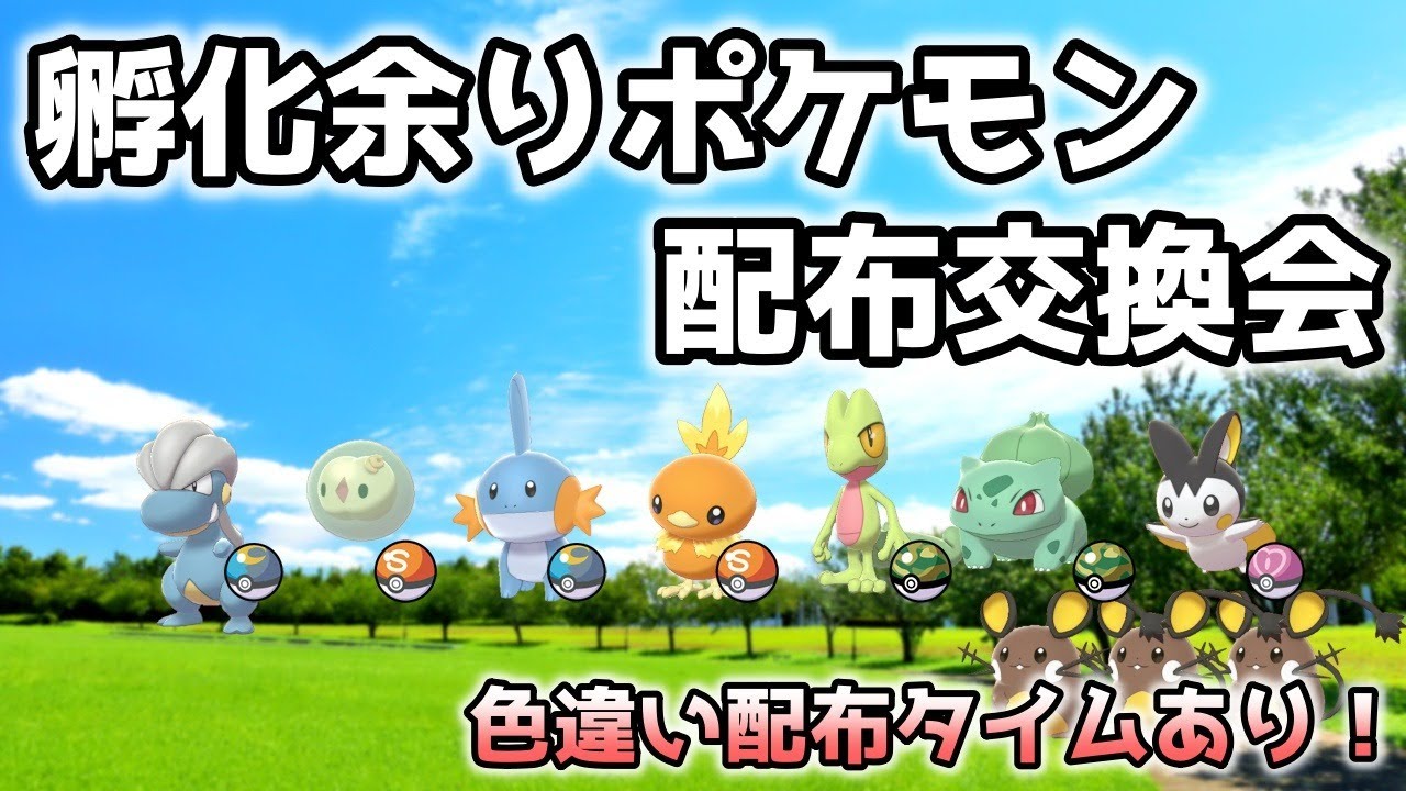 色違い配布タイムあり オシャボ孵化余りポケモン配布 交換会 ポケモン剣盾 Youtube