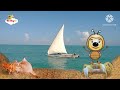 Bzzz Baby Tv Ocean Animal Bzzz Baby Tv Ocean Animal