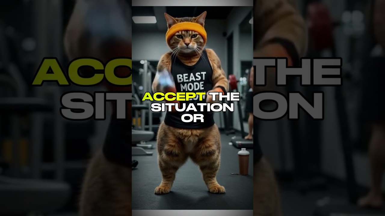 You have TWO choices | 