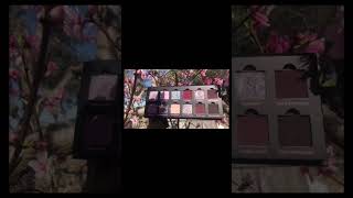 Nevermore #ensleyreign #swatches #indieeyeshadow #indiemakeup #beautyvideos #eyeshadowlover