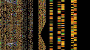 1D-Neighbourhood Cellular Automaton in a 2D grid