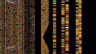 1D-Neighbourhood Cellular Automaton in a 2D grid