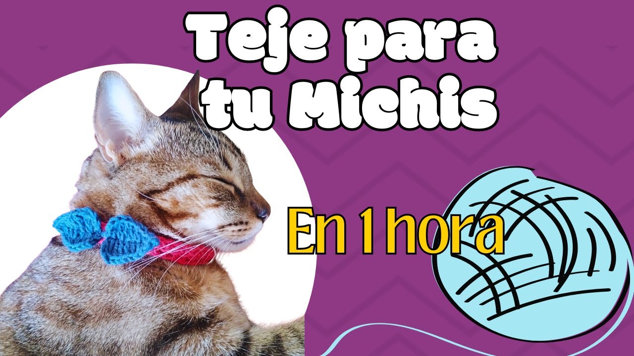 Tejer un Collar de Gatito en Crochet es Fácil y Rentable