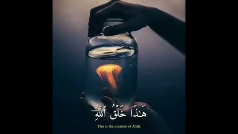 هذا خلق الله 🧡🖇 || حالات واتس اب قران بصوت شريف مصطفى|| آية قرانية قصيرة || تلاوة خاشعة_لراحة قلبك||