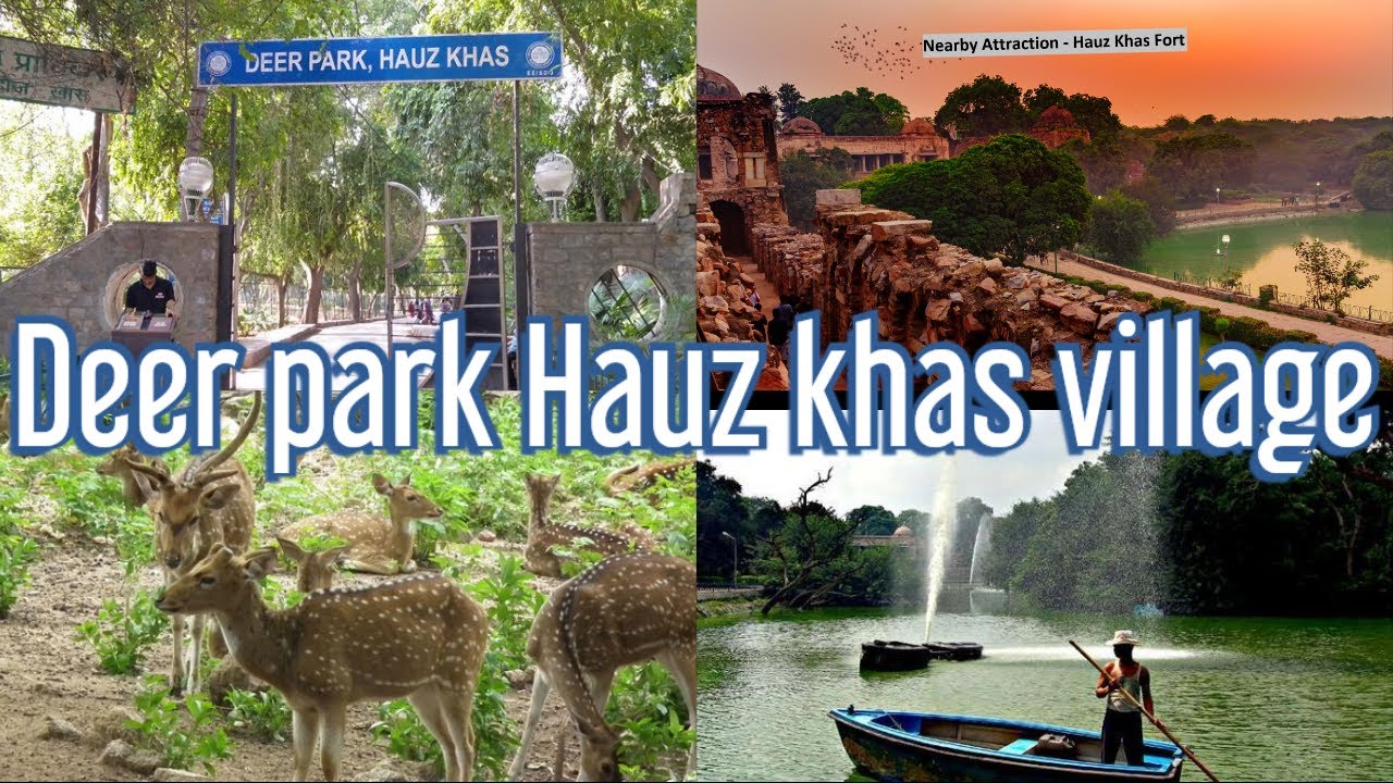 Lungs of Delhi Deer Park and Hauz Khas Park, Rose Garden Largest