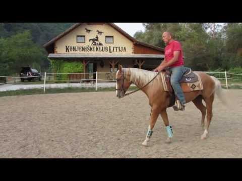 Western jahanje - Vaje za mehčanje konja, Sandi Gombač  www.gombac-horses.com SIQH