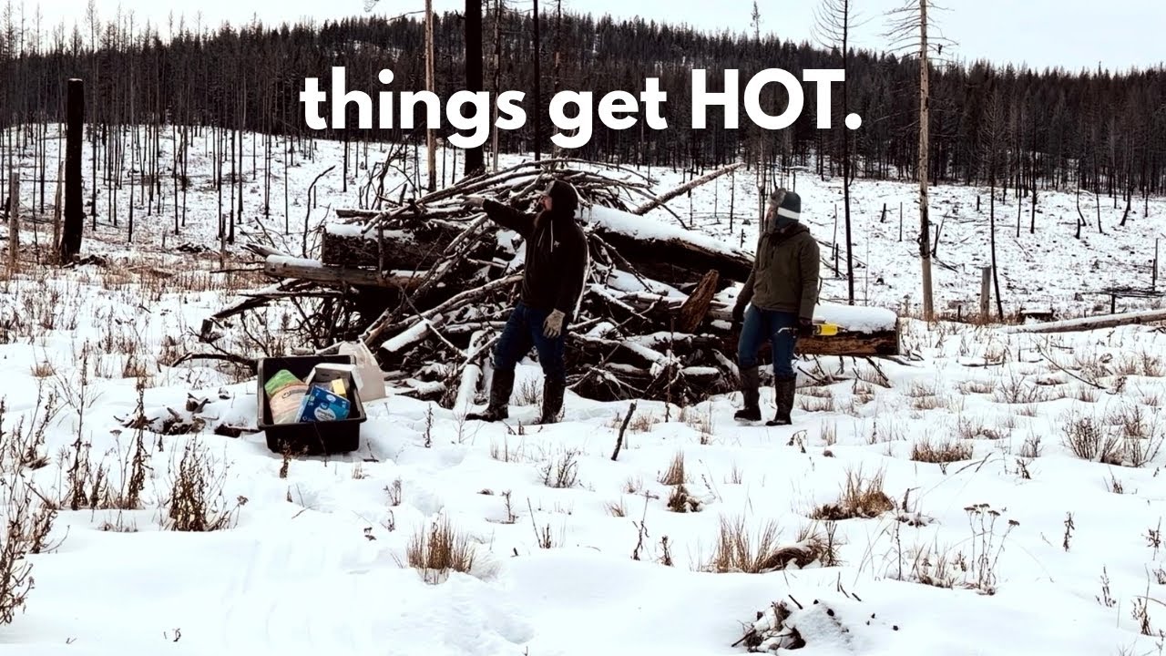 Уборка территории зимой: сжигание куч порубочных остатков в снегу.