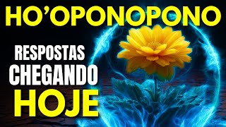 HO&#39;OPONOPONO PARA SAIR DE UMA SITUAÇÃO DIFÍCIL - 108X