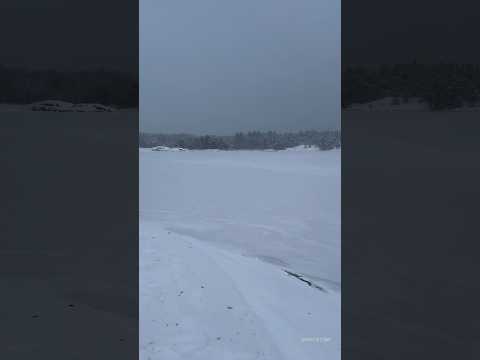 Frozen sea |