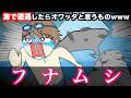 【恐怖】海で遭遇したらオワッタと思うものwwwww