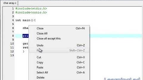 C Programming Language Video Tutorials for Beginners  22  Strings or Character Arrays With Example