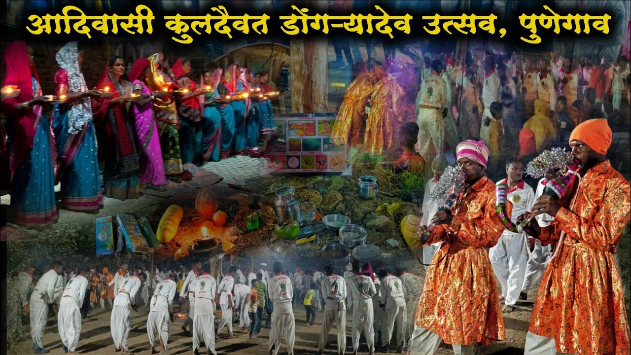 आदिवासी कुलदैवत डोंगऱ्यादेव उत्सव. गाव :- पुणेगाव 🙏💐🌾🇵🇱  #dongaryadev #nitinmahaleyt