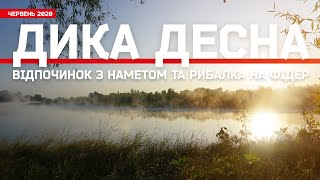 Виїзд на дику десну рибалити фідером