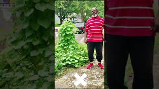((  Newark , New Jersey  ))  ...