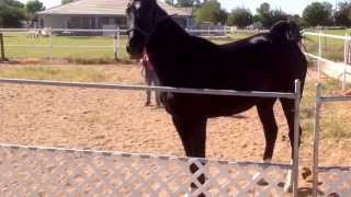 La Out Of Her Comfort Zone