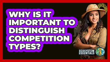 Why Is It Important To Distinguish Competition Types? - Ecosystem Essentials