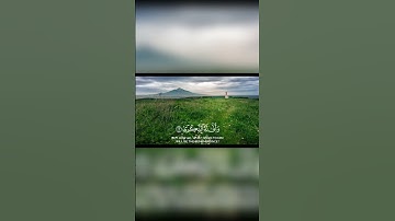 تلاوة هادئة مؤثرة من سورة الفجر