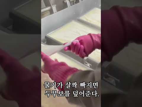 관악신사시장 윤씨네 두부가게 쇼츠