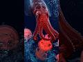 Jellyfish vs Squid 🥰#sea #creature #love #nature #viral #foryou