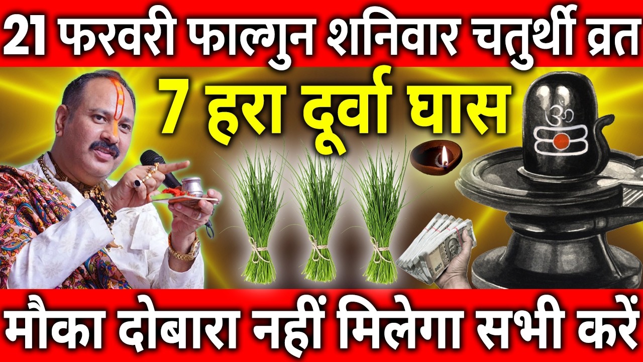 21 फरवरी फाल्गुन शनिवार चतुर्थी तिथि के दिन 7 हरा दूर्वा घास वाला उपाय जरुर करे || Pradeep Ji Mishra