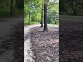 PARK DAY | BUFFALO BAYOU PARK | HOUSTON | ZANIAAMIREE #shorts #blackgirlmagic #park